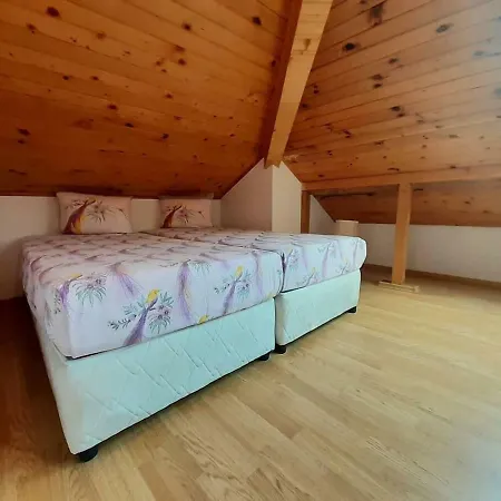 Διαμέρισμα Cosy At The Foot Of Pirin Mountain